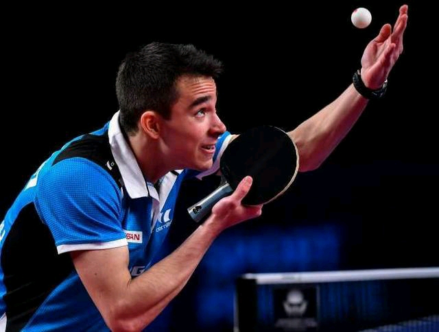 轻人寻找属 轻人寻找属