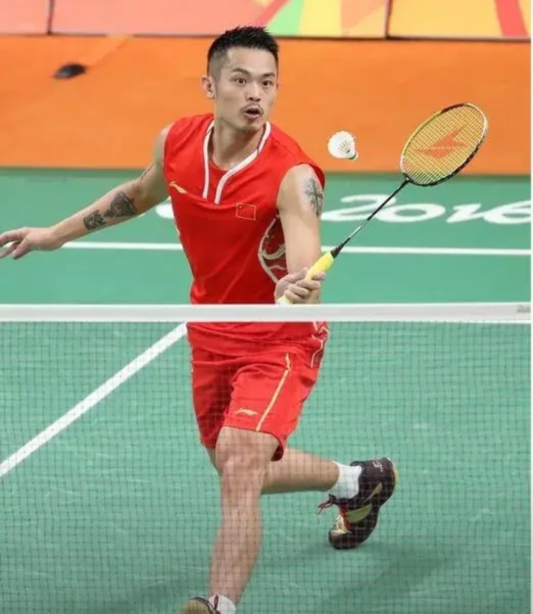 的建议下增 的建议下增